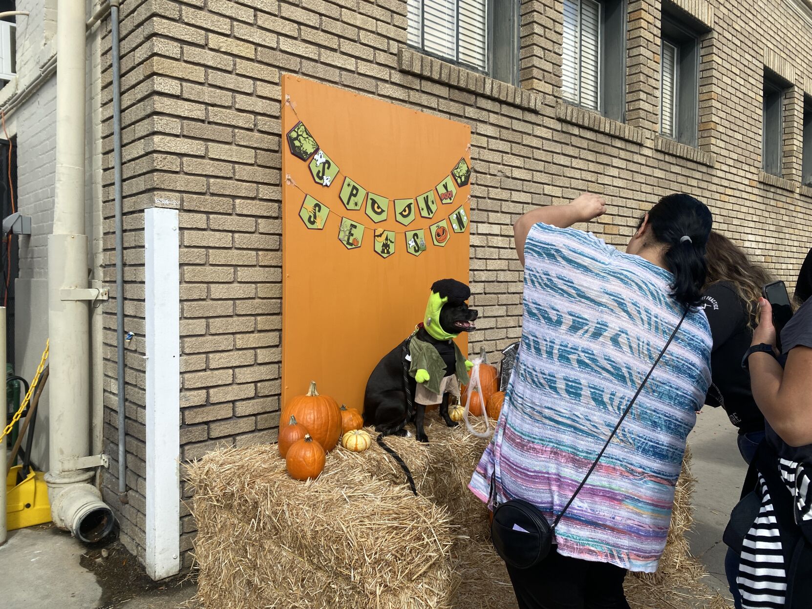 Halloween Pop-up 2